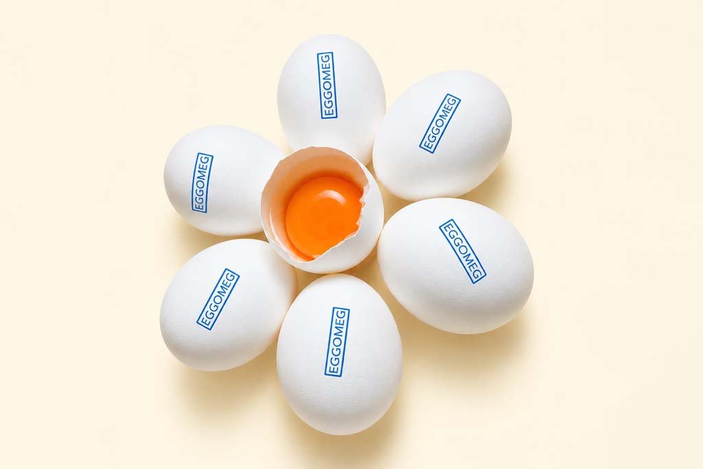 Eggomeg